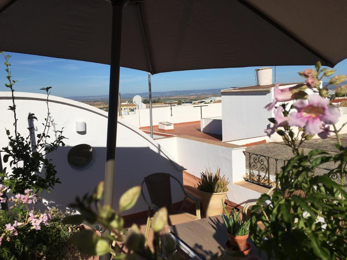 Casa Leon Blanco Carmona Reformada Centrica Con Chimenea Y Terraza Con Vistas别墅 外观 照片